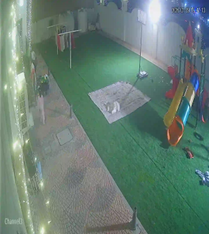 Caméra IP - United Arab Emirates