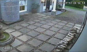 Caméra IP - Sudafrica