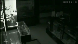 Caméra IP - Malaysia