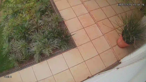 Caméra IP - Brasil