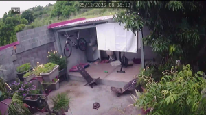 Caméra IP - Réunion