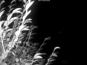 Caméra IP - United Kingdom