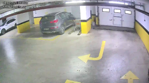 Caméra IP - Türkiye