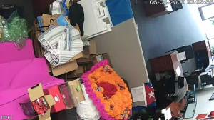 Caméra IP - Estados Unidos