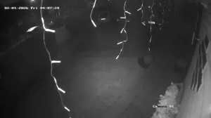 Caméra IP - Royaume-Uni