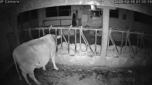 Caméra IP - Schweiz