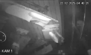 Caméra IP - Alemania