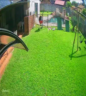 Caméra IP - Vue en direct