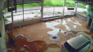 Caméra IP - Paraguay