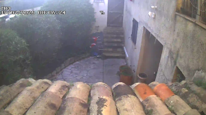 Caméra IP - Francia