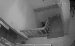 Caméra IP - Vietnam