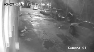 Caméra IP - Georgia