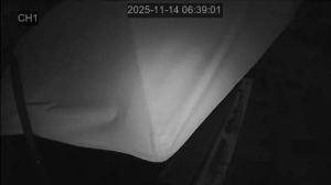 Caméra IP - South Korea