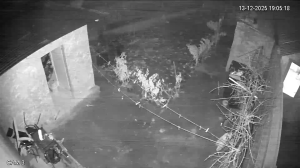 Caméra IP - Romania