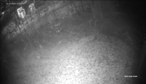 Caméra IP - États-Unis d'Amérique