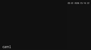 Caméra IP - Bolivien