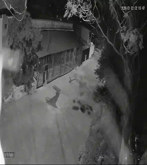 Caméra IP - Colombia