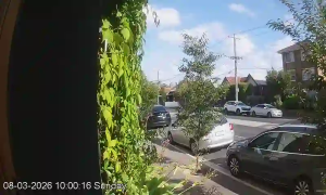 Caméra IP - Indonesia