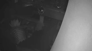 Caméra IP - Südafrika