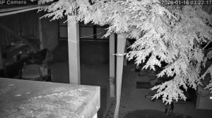 Caméra IP - Germany