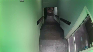 Caméra IP - Pays-Bas