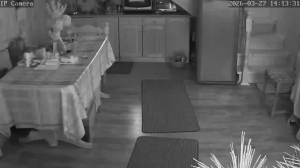 Caméra IP - Russian Federation