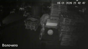 Caméra IP - Russian Federation