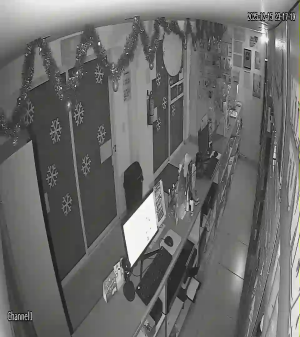 Caméra IP - Mexique