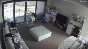 Caméra IP - Australia