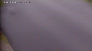 Caméra IP - Dinamarca