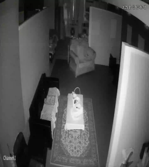 Caméra IP - Malaysia