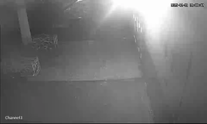 Caméra IP - Algerien