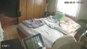 Caméra IP - Lithuania