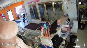 Caméra IP - Vereinigte Staaten von Amerika