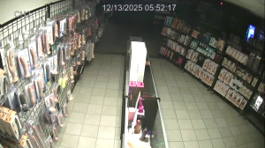 Caméra IP - États-Unis d'Amérique