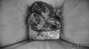 Caméra IP - Lithuania