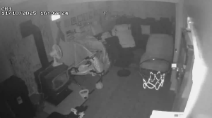 Caméra IP - United States of America