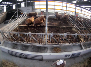 Caméra IP - República de Corea