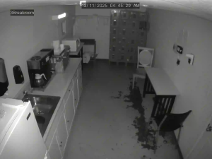 Caméra IP - United States of America