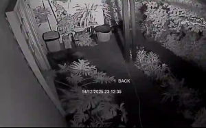 Caméra IP - Australie