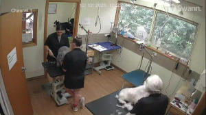 Caméra IP - Australie