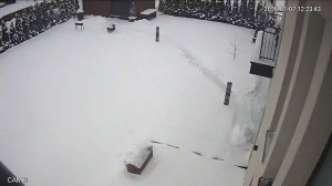 Caméra IP - Lithuania