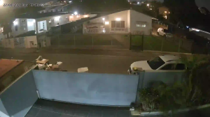 Caméra IP - Curaçao