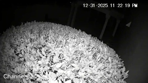 Caméra IP - United States of America