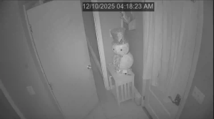 Caméra IP - Vereinigte Staaten von Amerika