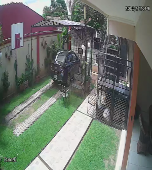 Caméra IP - Bolivien