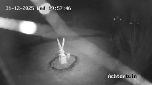 Caméra IP - Belgium