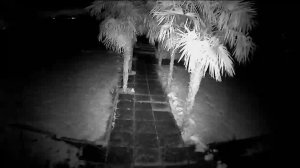 Caméra IP - Paesi Bassi