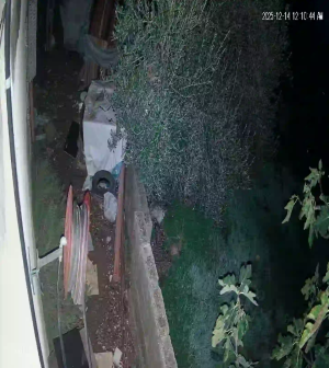 Caméra IP - Palestina