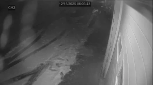 Caméra IP - United States of America